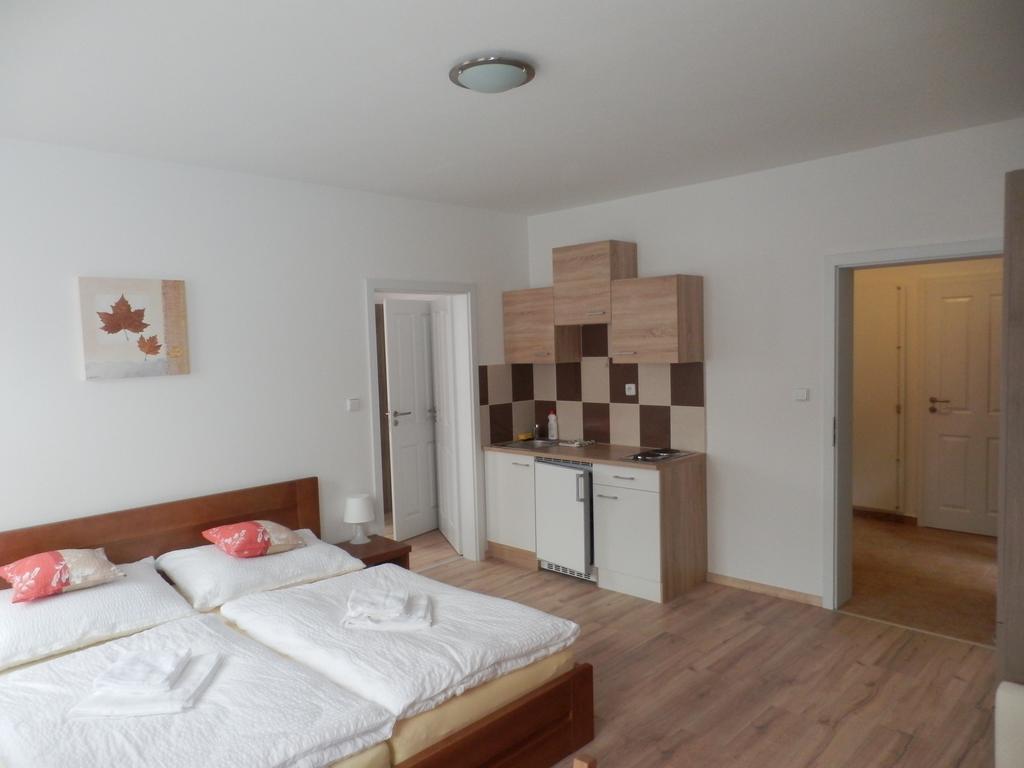 Dueta Apartment Cesky Krumlov Room photo